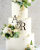 Packi z logo miniowelove – kopia - 2024-10-10T121457.924.png