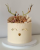 Packi z logo miniowelove – kopia - 2024-10-23T114743.968.png